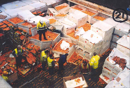  ����� ����������� ������������� ������ ������-2008� 