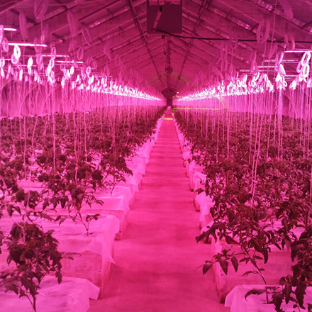  �������� ������������ �� �������� ���������� ����� ������ � 2017 