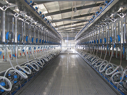  ������������ ����� �������� ����� �������� 