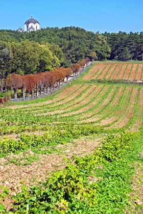  ������ ������ � ������ 