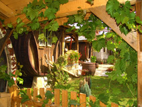  ������ ������ � ������ 