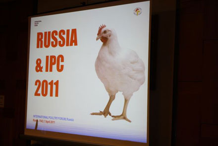  �������� ����������� �������������� ��������������� ������ 