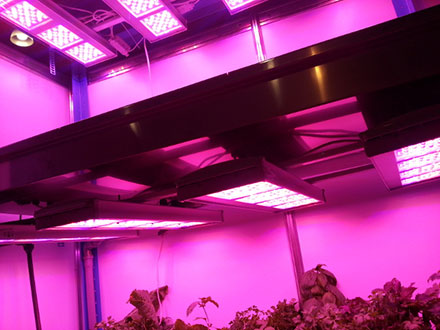  ����������� AtomSvet� BIO �� �������� ����������������� 