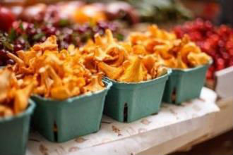  ����� ������ ������� �������� ����������� �� ��� 