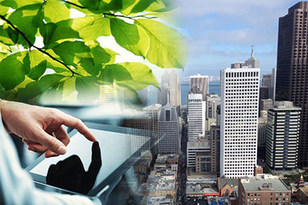  ������� �� �������� � ������������� ����������� �GreenOffice.club. ������ ����� ��� ������ ��������� 