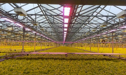  ���������� ������ � ���� � ������ �� ����� ������ 