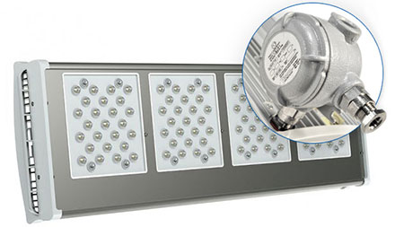  ����������������  ����������� Plant Ex� 