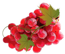  �������� ���������� �������� / Russian Wine Fair 2011� 